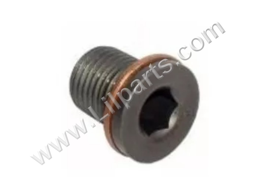 Engine Oil Drain Plug Compatible with N90856001, N91086801, Vw
